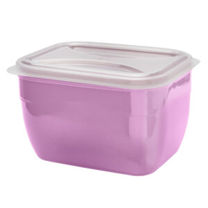 Organizadores Retangulares Lilás 2,4L