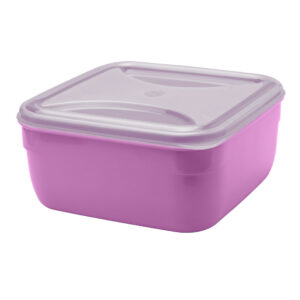 Organizadores Quadrados Lilás 2.5L